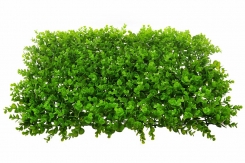 114 panel od veštačkog zelenila